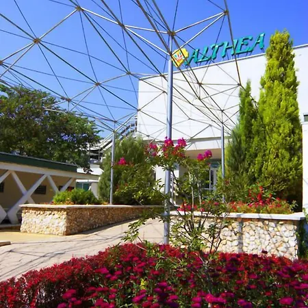 Althea אלבנה
